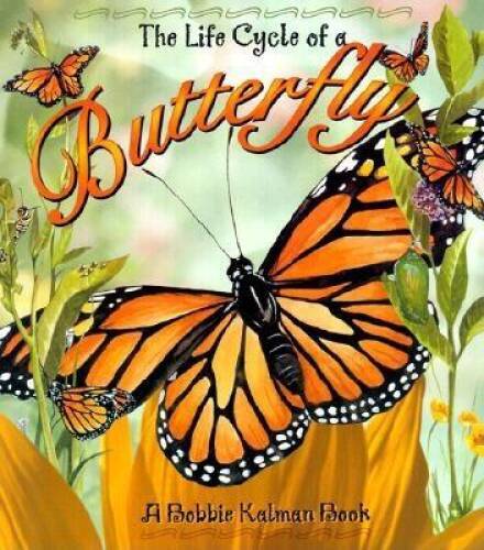 The Life Cycle of a Butterfly – Paperback By Kalman, Bobbie – VERY GOOD
