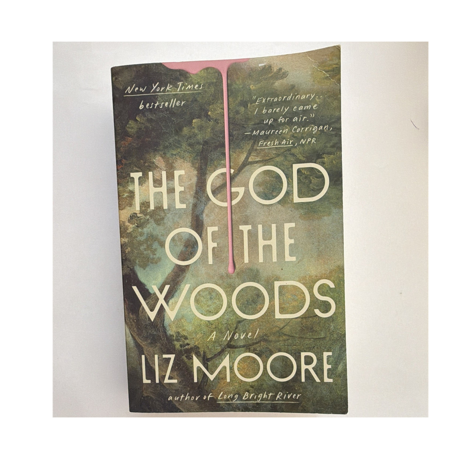 Liz Moore The God of the Woods Trade Paperback 2025 Psychological Penguin