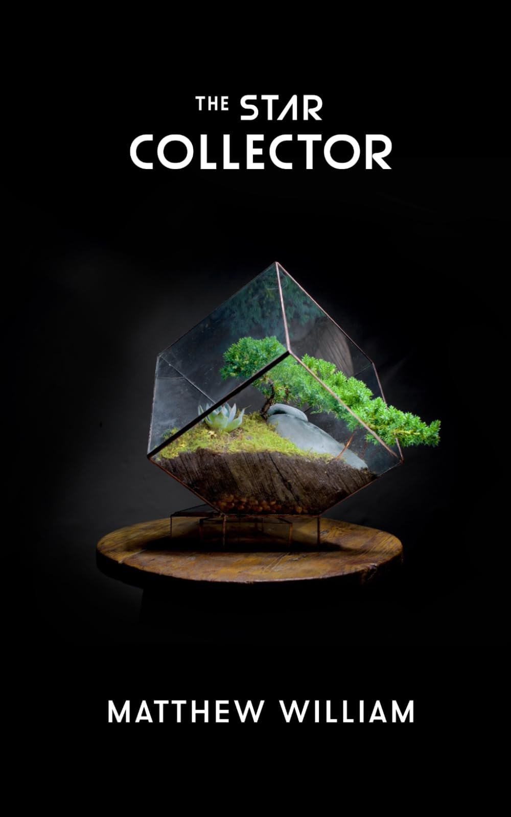 The Star Collector – William, Matthew – Good – See condition notes