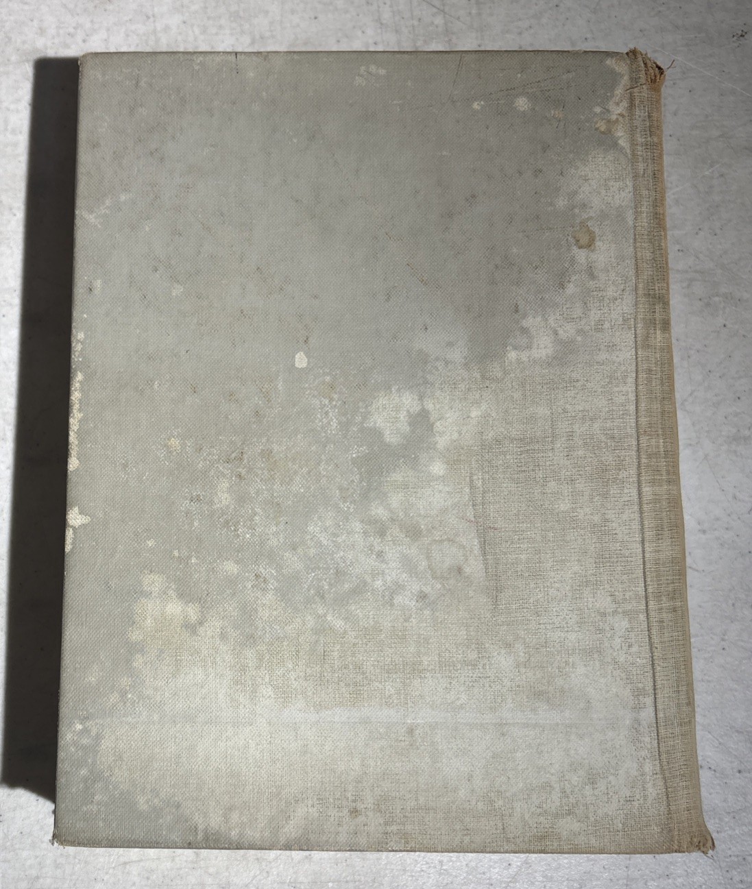 Rare The Royal Book of Oz, L. Frank Baum 1921, 1st Edition? Color Illustrations