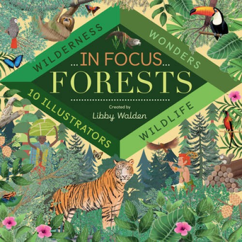 In Focus: Forests – Hardcover By Libby Walden – VERY GOOD