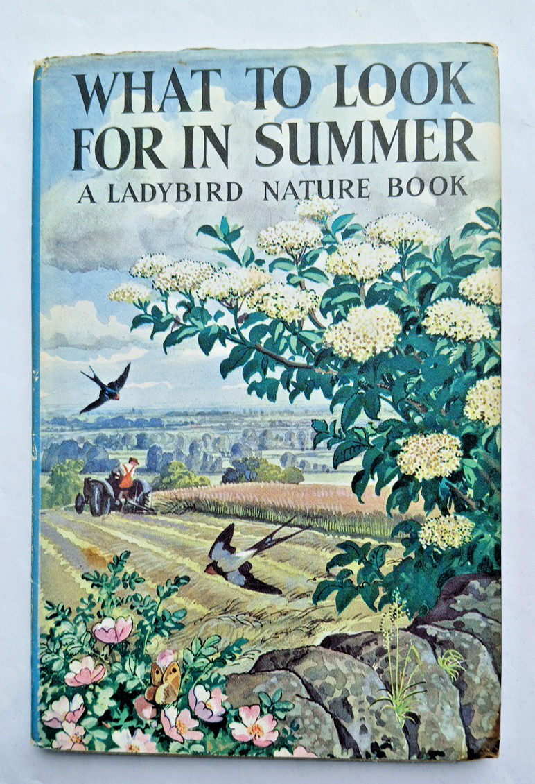 Ladybird Book What to Look for in Summer 1960, 4 seasons, 2/6 DJ 1st ed, Gd-VGC