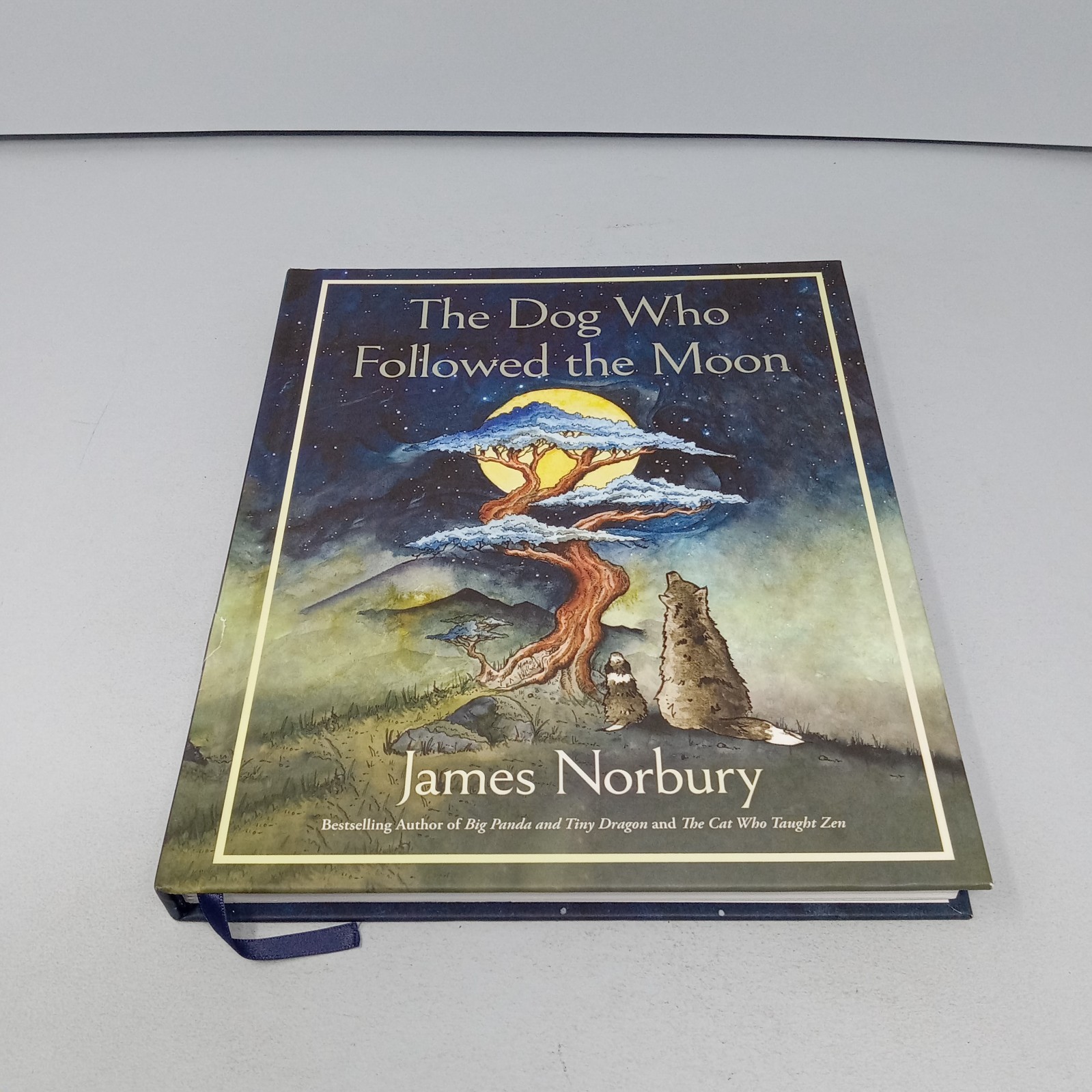 The Dog Who Followed the Moon: 2024 William Morrow Hardcover by James Norbury