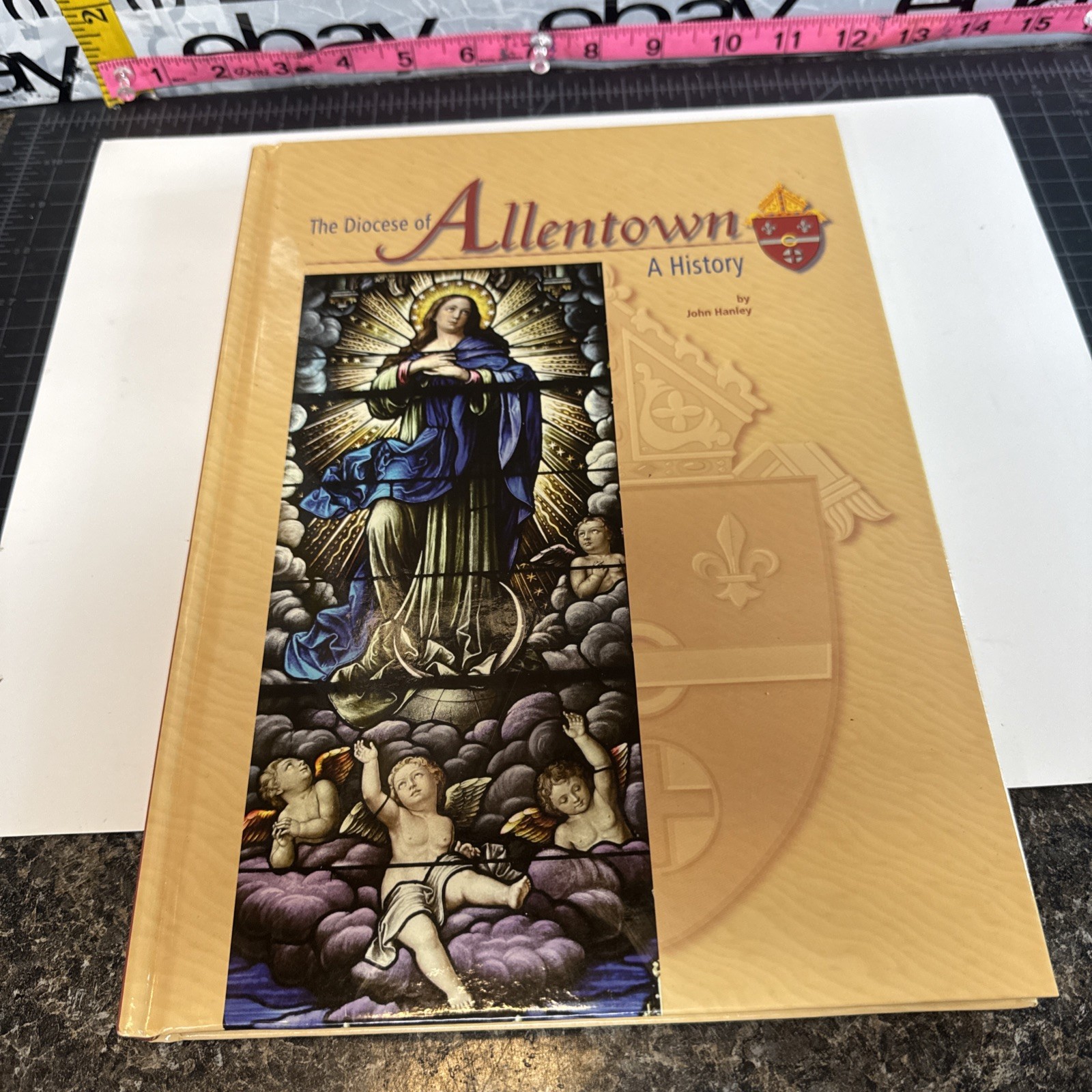 The Diocese of Allentown: A History By John Hanley Hardback