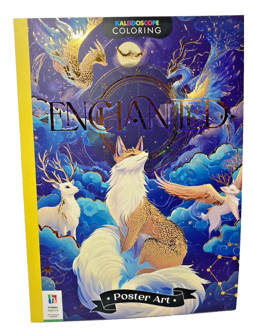 ENCHANTED Coloring Book Poster Art 20 pages