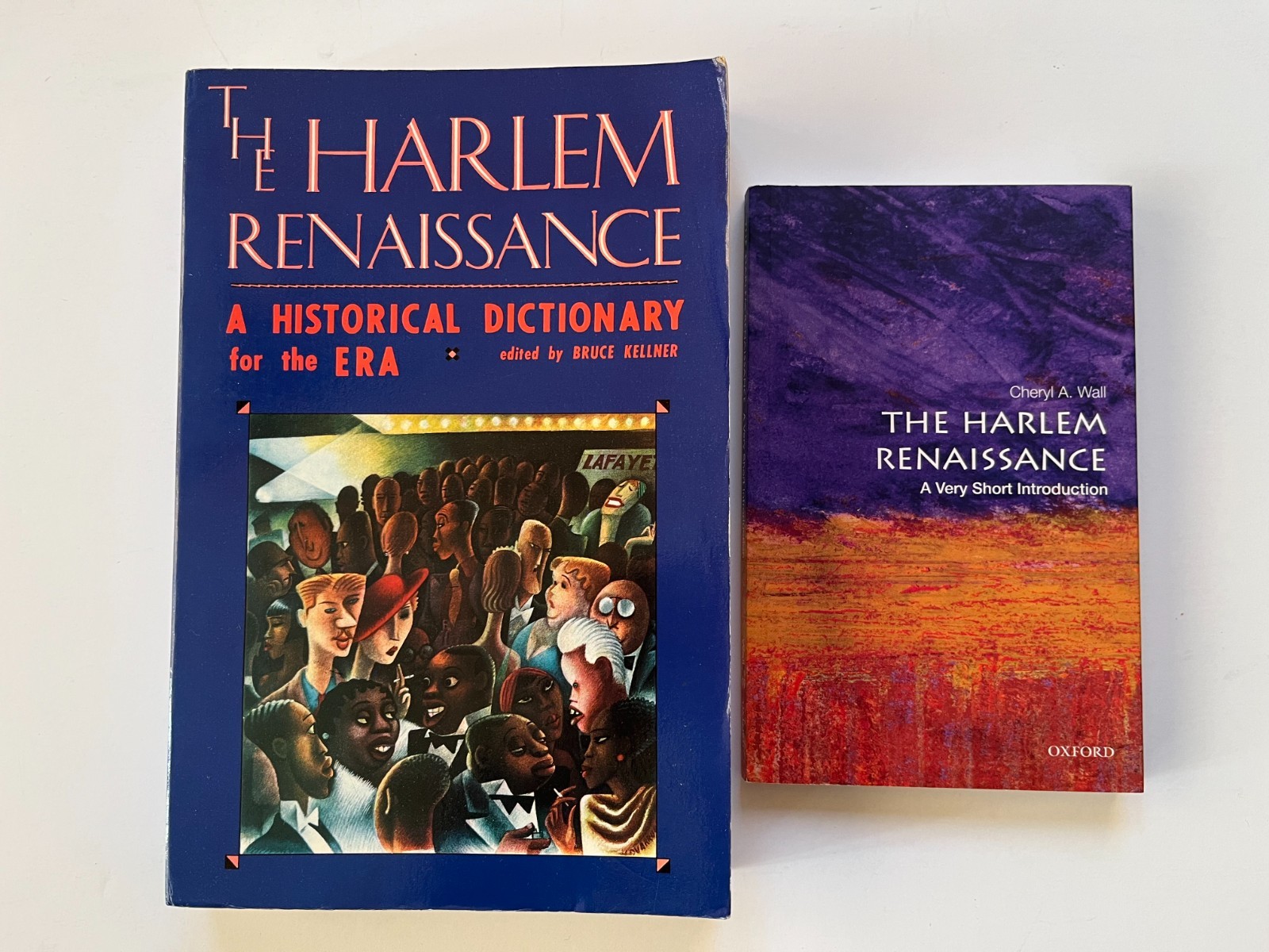 The Harlem Renaissance : A Historical Dictionary & Introduction ~ lot of 2 books