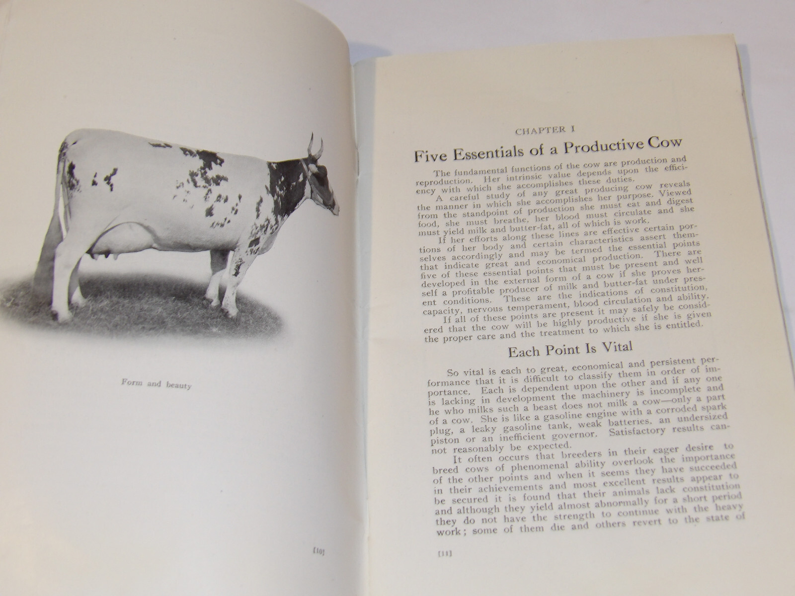 1911 VAN PELT’S COW DEMONSTRATION BOOK! 1st EDITION! ILLUSTRATED! 5 ESSENTIALS!