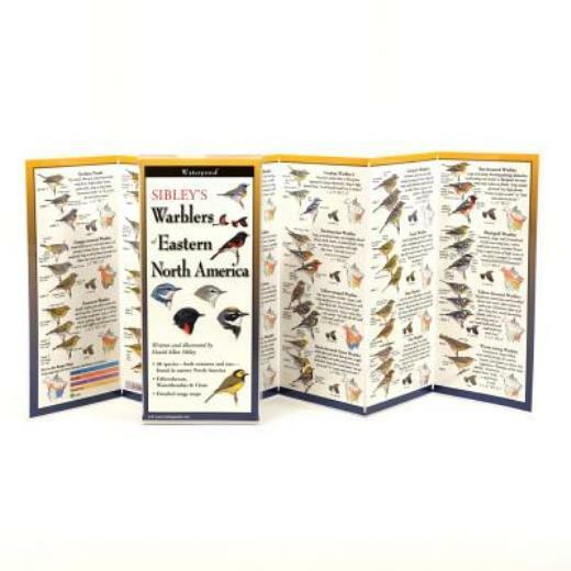 Sibley’s Warblers Of Eastern North America