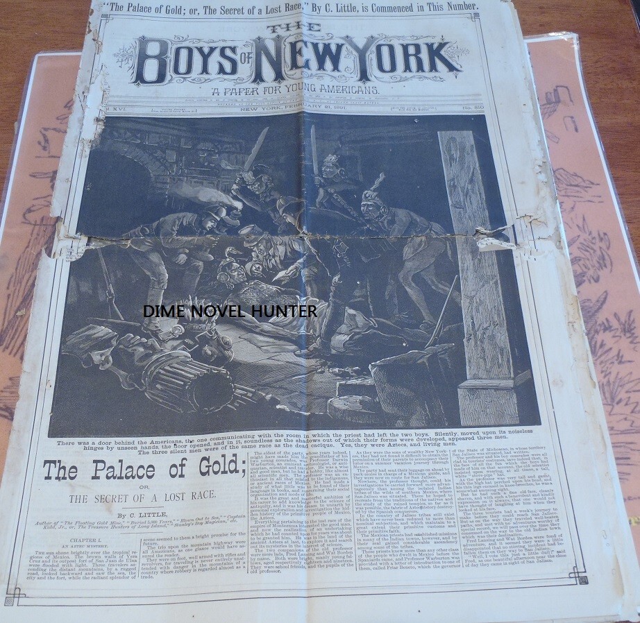 PALACE OF GOLD COVER BOYS OF NEW YORK 810 FRANK TOUSEY 1890 DIME NOVEL NEWSPAPER