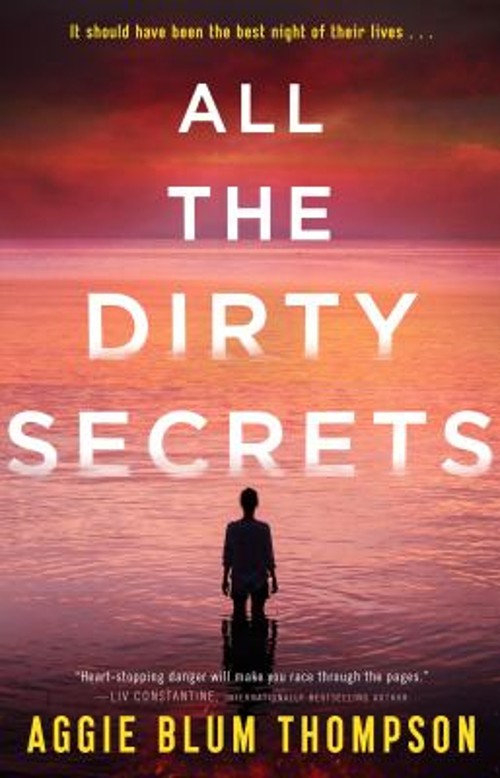 All the Dirty Secrets Hardcover Aggie Blum Thompson
