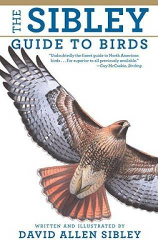 The Sibley Guide to Birds – Paperback By David Allen Sibley – VERY GOOD