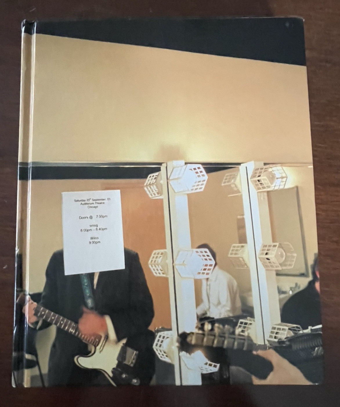The Wilco Book