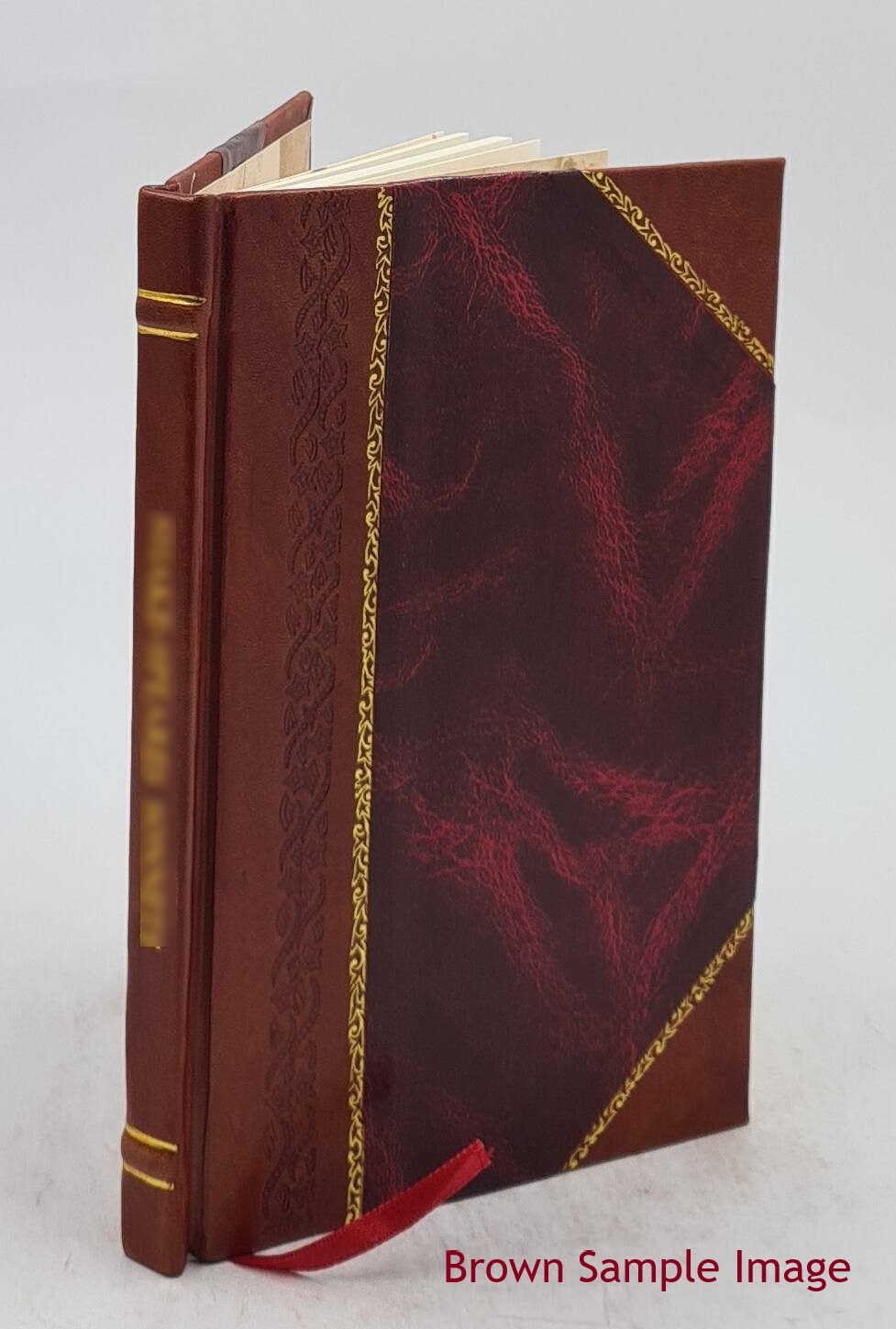 The Art Of Lettering And Sign Painter’S Manual : A Complete And [Leather Bound]