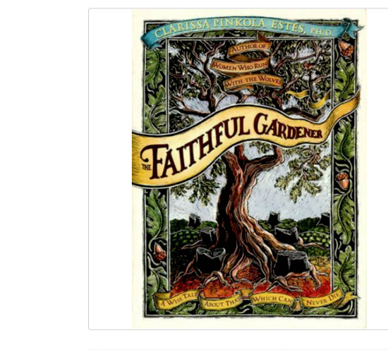 THE FAITHFUL GARDENER Clarissa Pinkola Estés FREE SHIP hardcover book inspiring