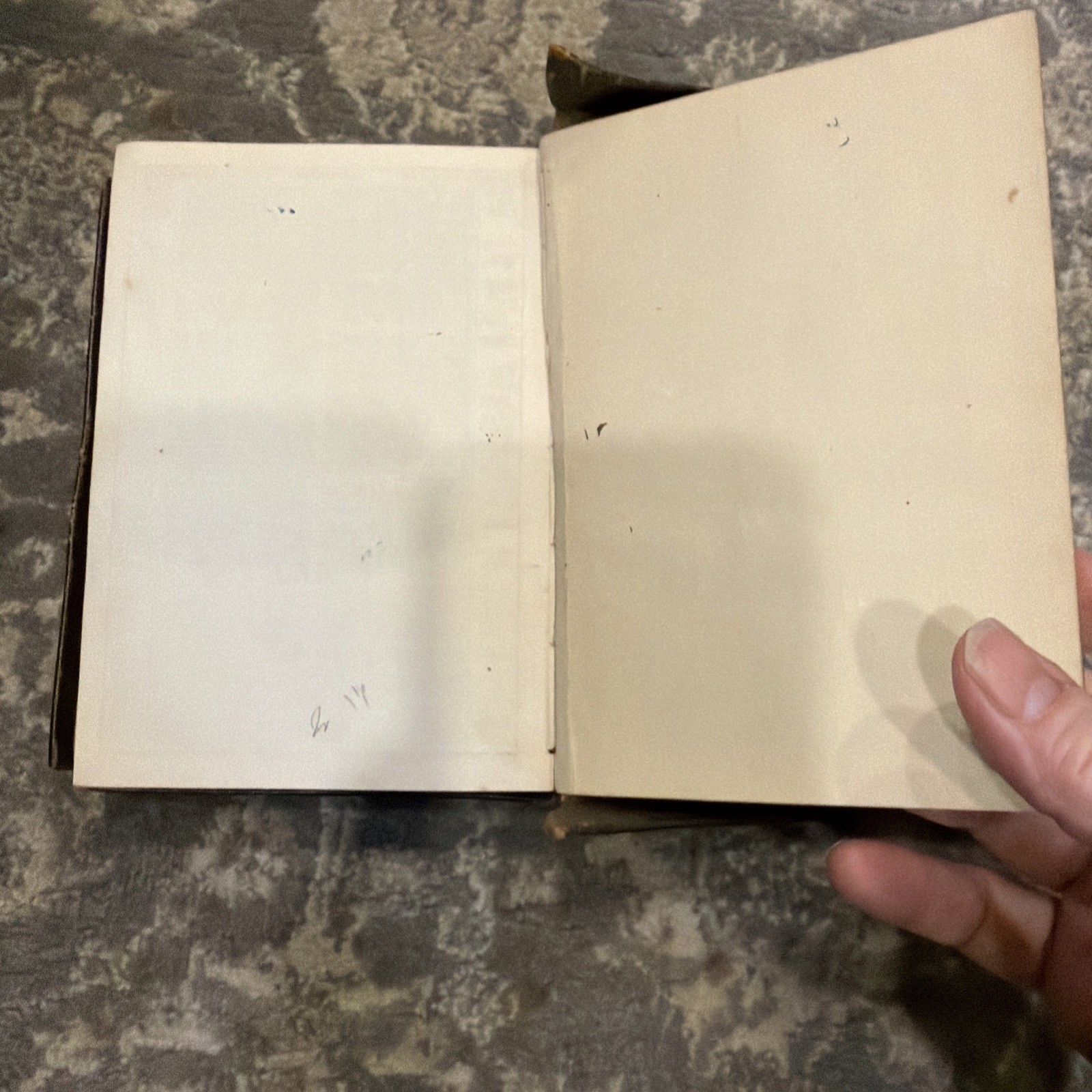The Holy Bible 1881 New York American Bible Society Original Tongues.