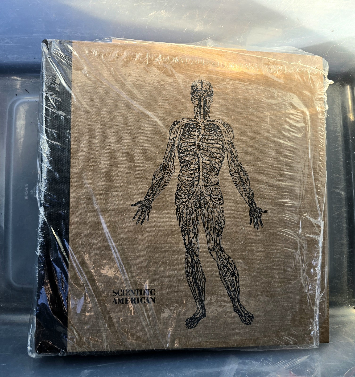 1978 Scientific American Medicine Vol 1 Rubenstein Federman Loose-Leaf Binder