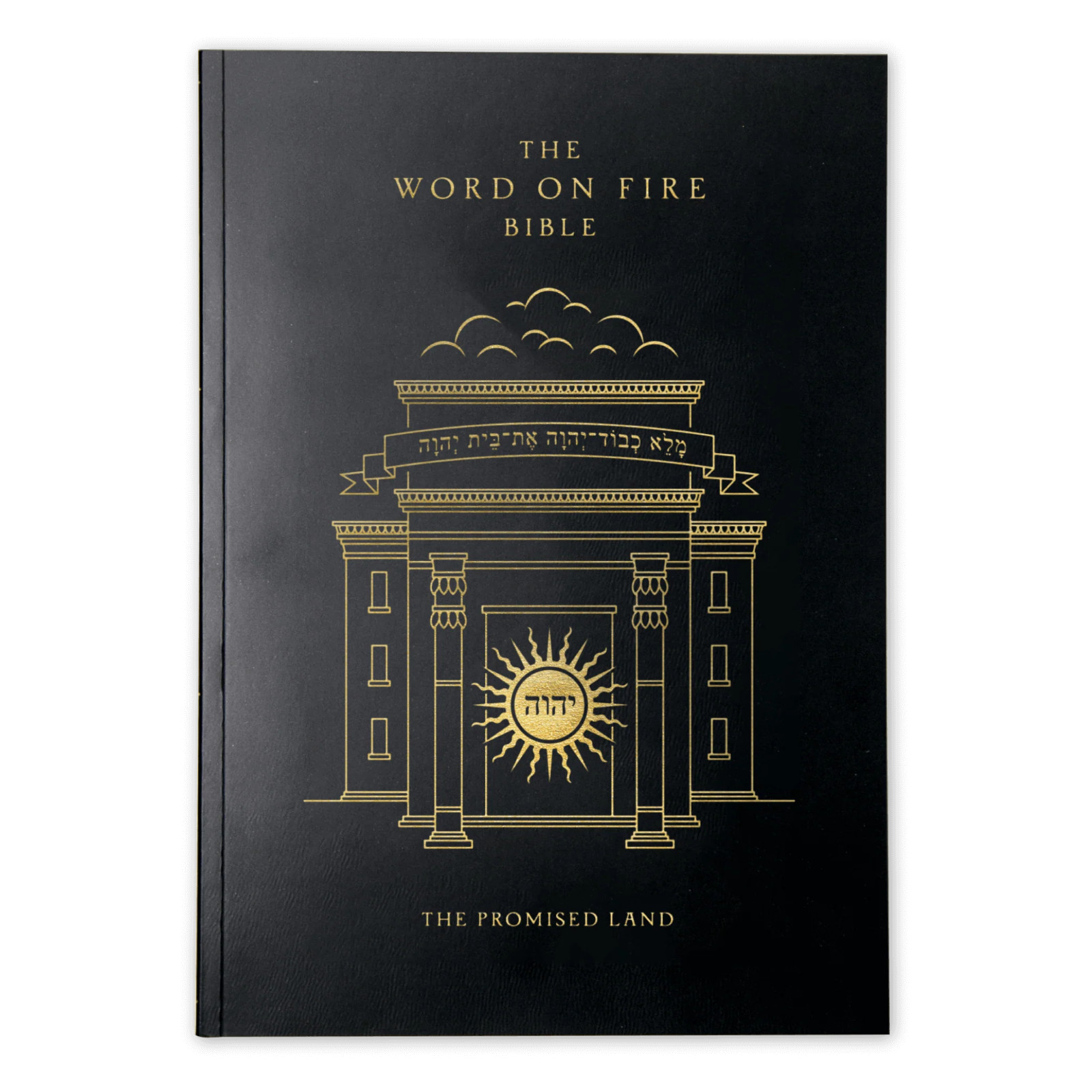 NRSV-CE Bible: The Word On Fire Bible, Volume 4 – The Promised Land