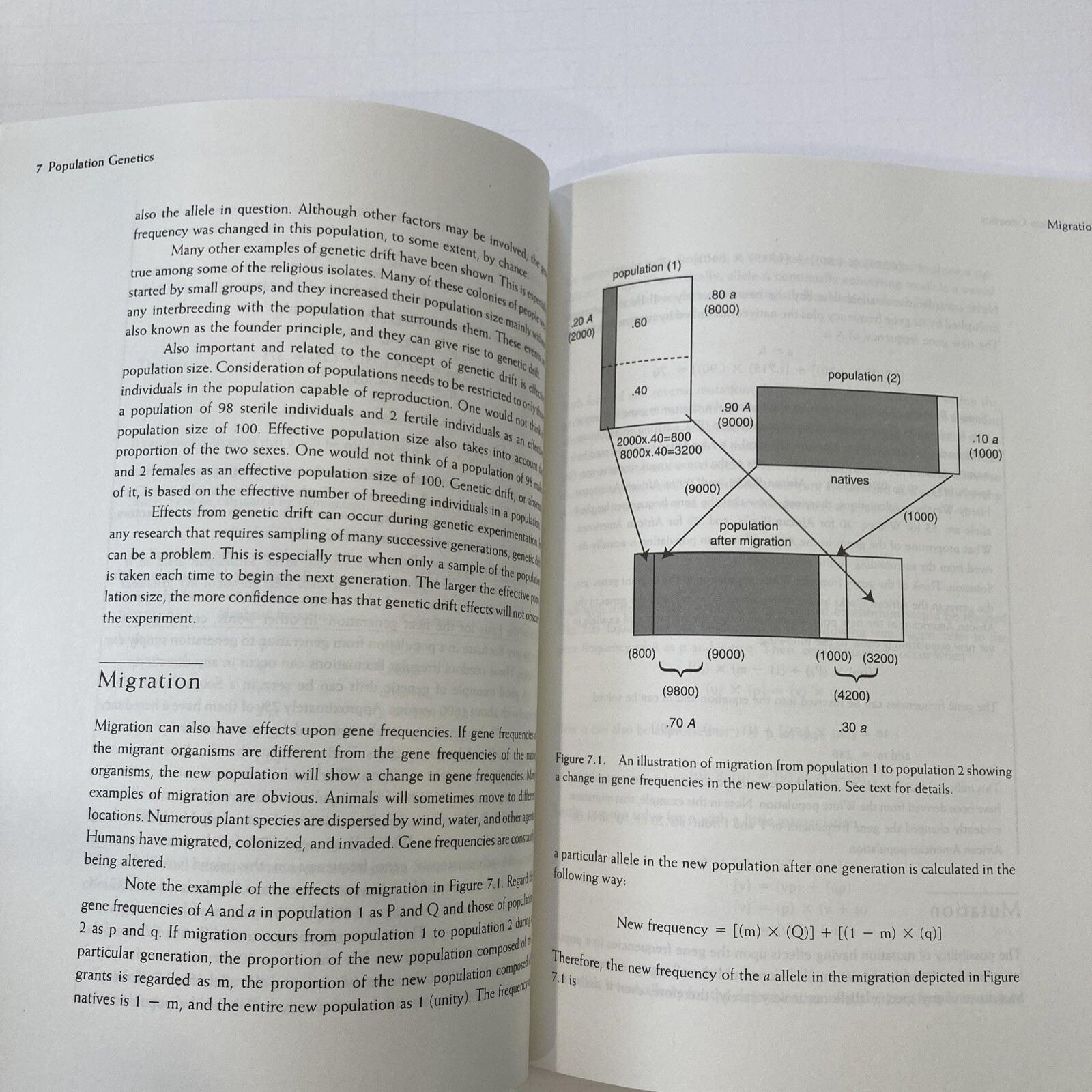 Solving Problems in Genetics by Richard Kowles Textbook