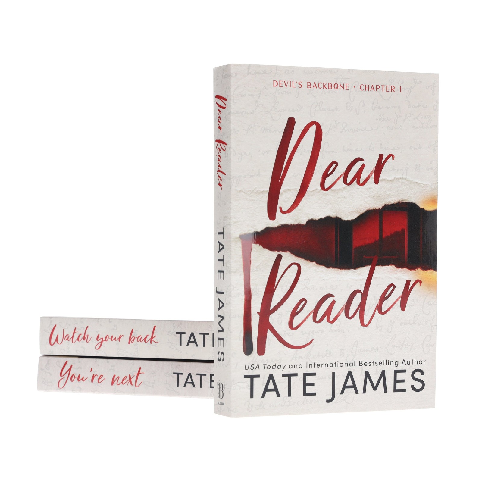 Devil’s Backbone Series by Tate James 3 Books Set – Fiction – Paperback