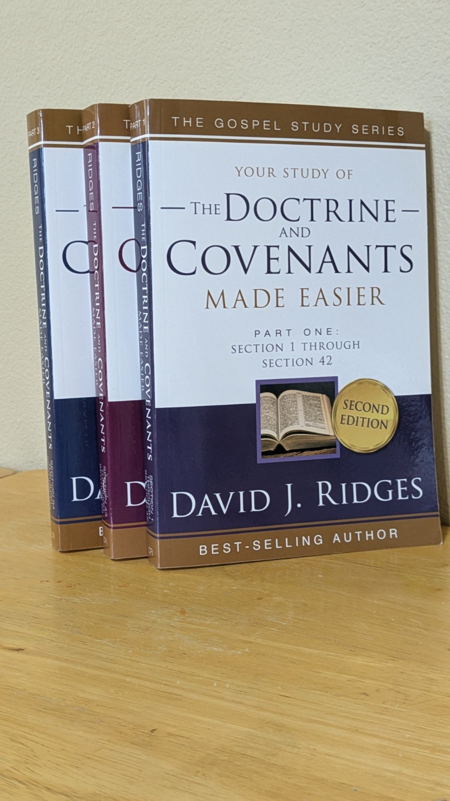 The Doctrine And Covenants Made Easier – Volumes 1-3 – Complete David J Ridges