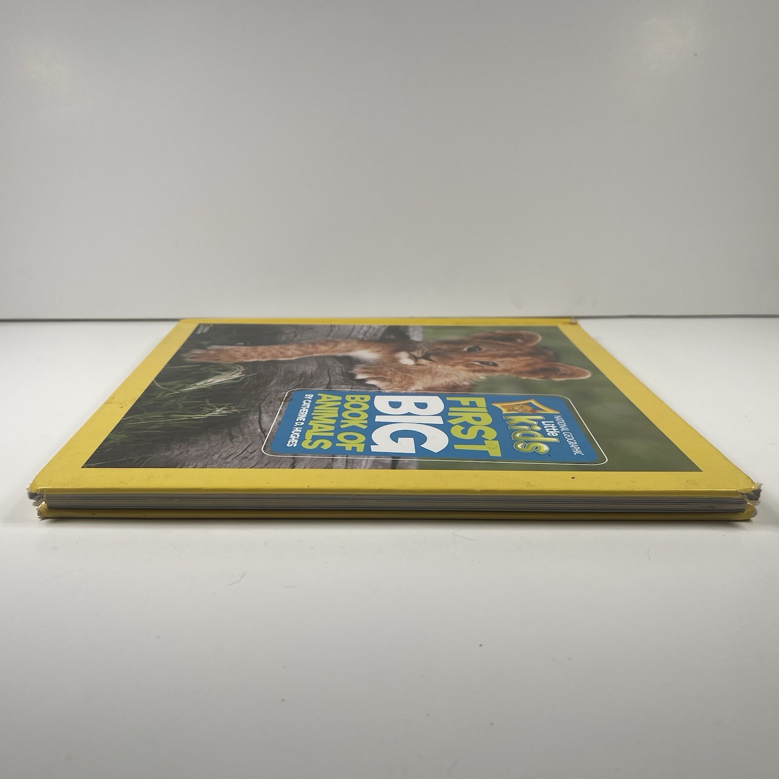 National Geographic Little Kids First Big Book of Animals By Catherine D. Hughes