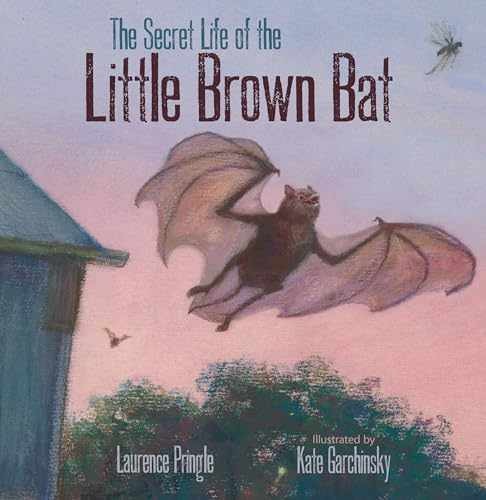 The Secret Life of the Little Brown – Hardcover, by Pringle Laurence – Very Good