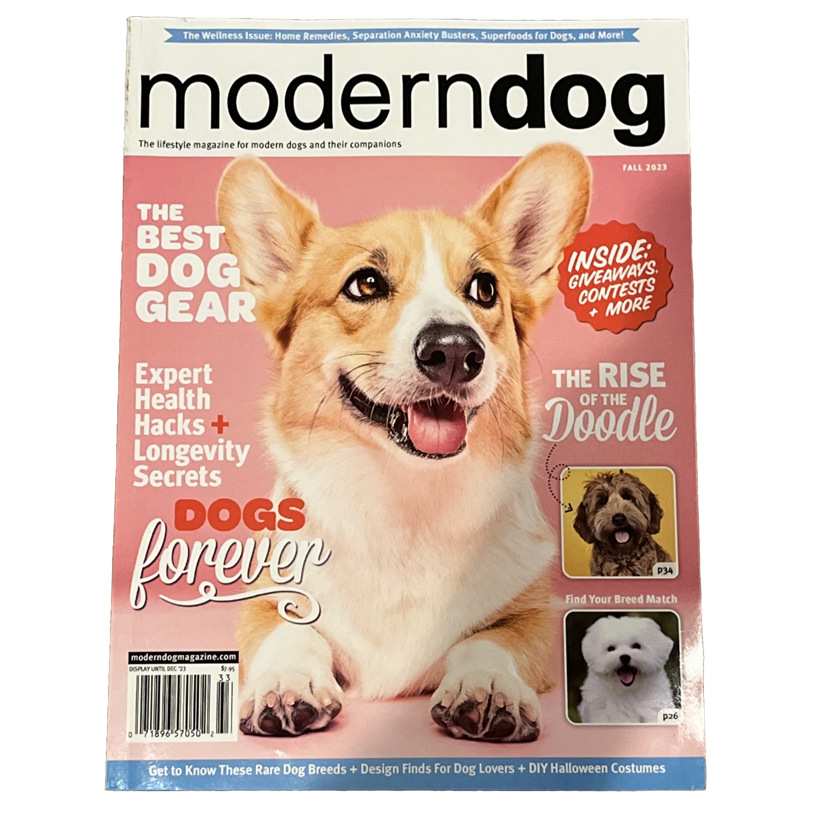 Modern Dog Magazine Issue Fall 2023 DOGS FOREVER THE BEST DOG GEAR