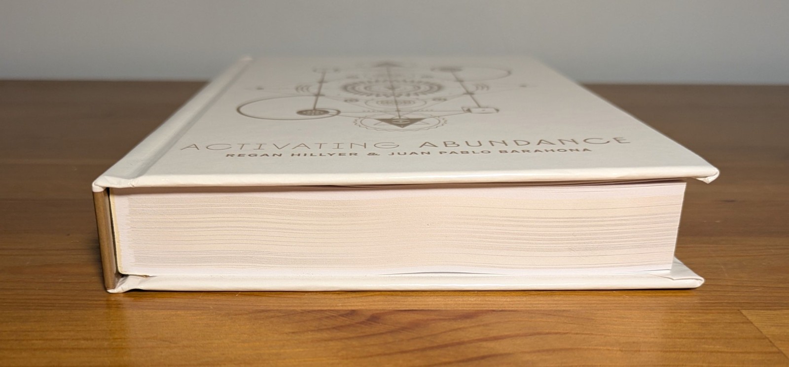 Activating Abundance : Fifty-Two Codes to Unlock Abundance : Regan Hillyer NEW!