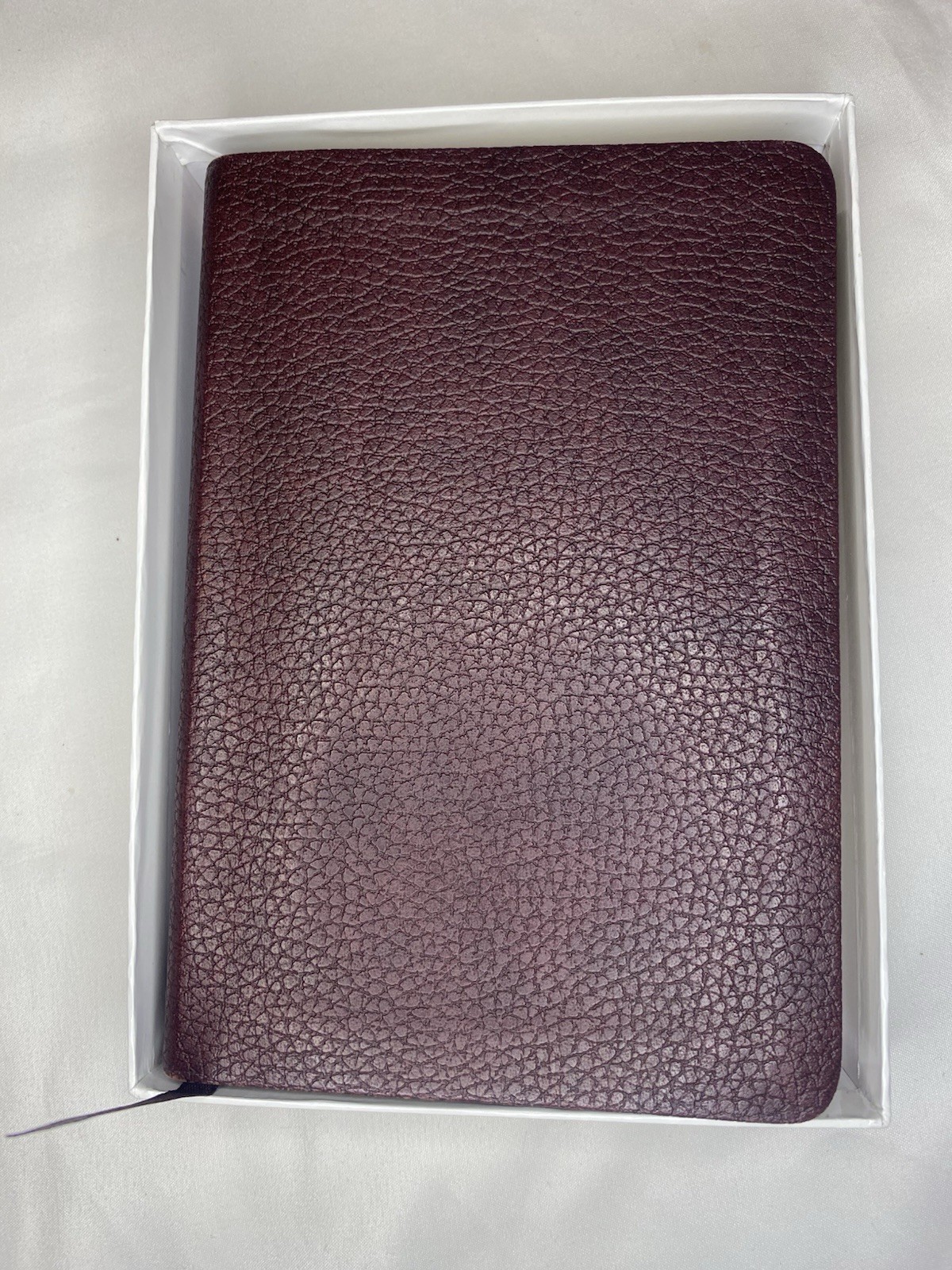 Pocket Companion Bible by Thomas Nelson (2010, Imitation Leather)