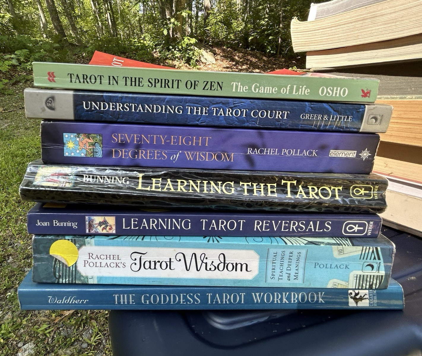 Tarot Books Lot Osho Pollack Greer Bunning Divination Occult Spirit
