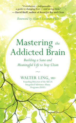 Mastering the Addicted Brain: Building a Sane and Meaningful Life to Sta – GOOD