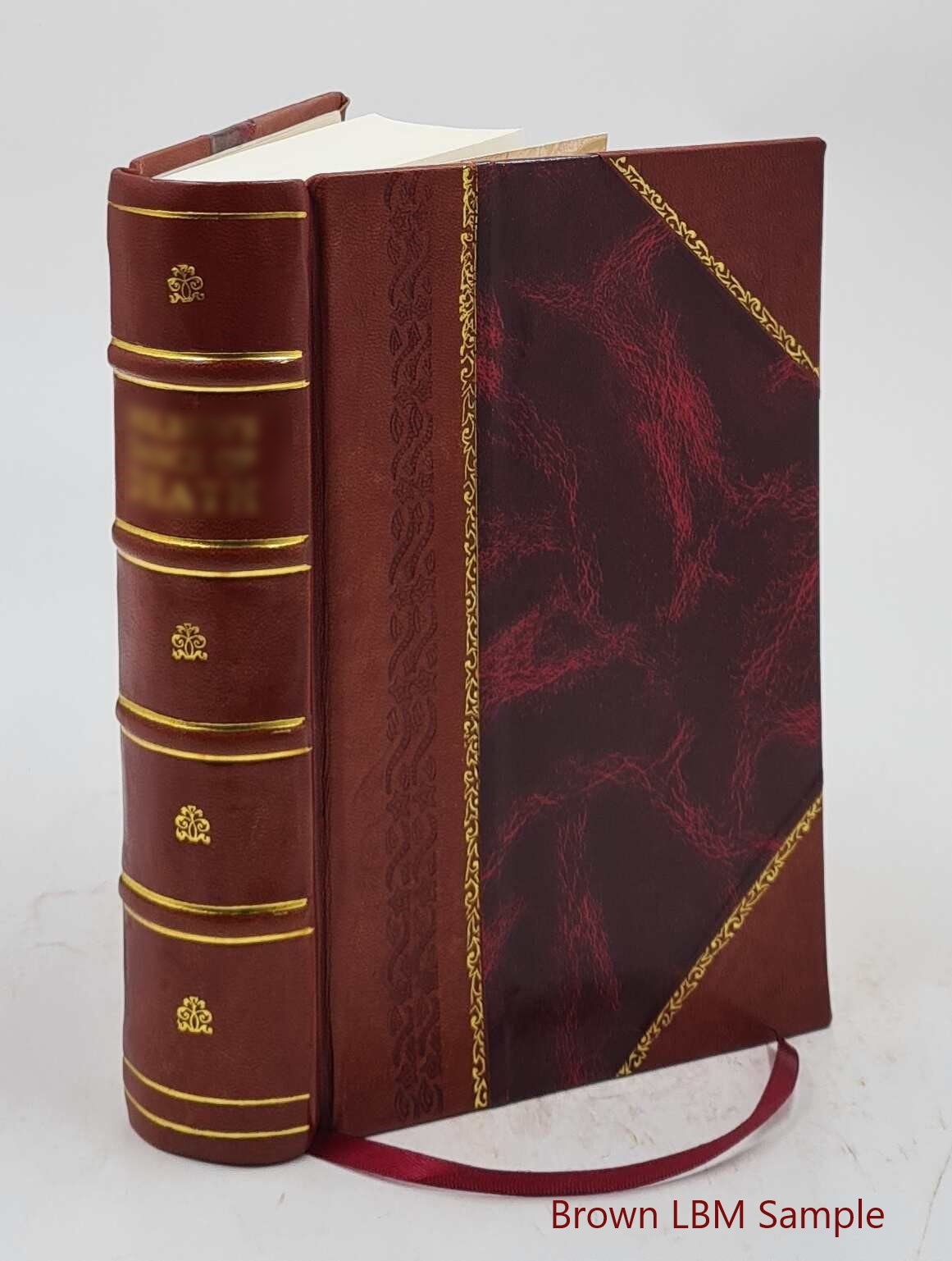 One hundred years of progress 1895 [Leather Bound]
