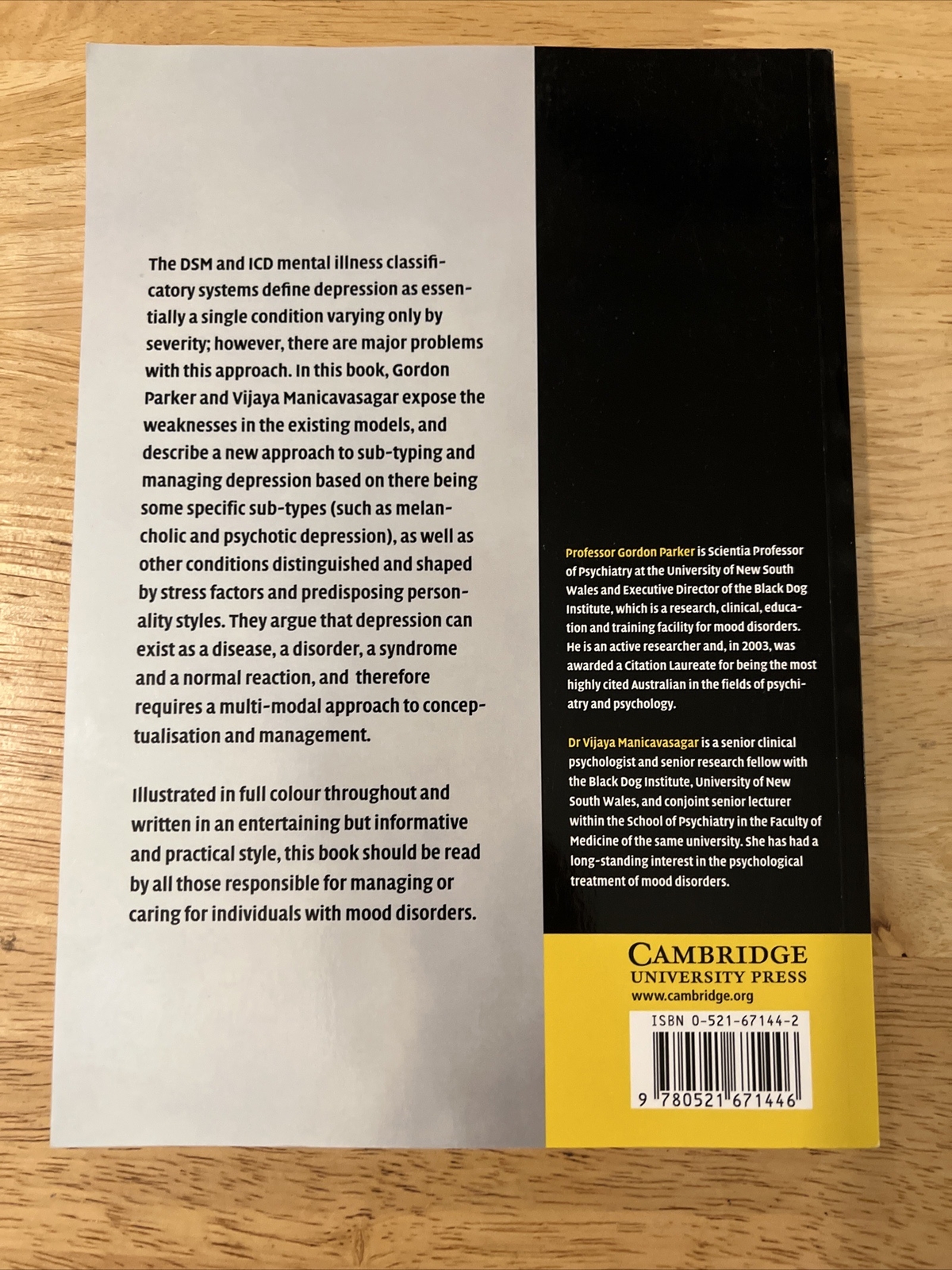Modelling And Managing the Depressive Disorders : A Clinical Guide, Paperback.