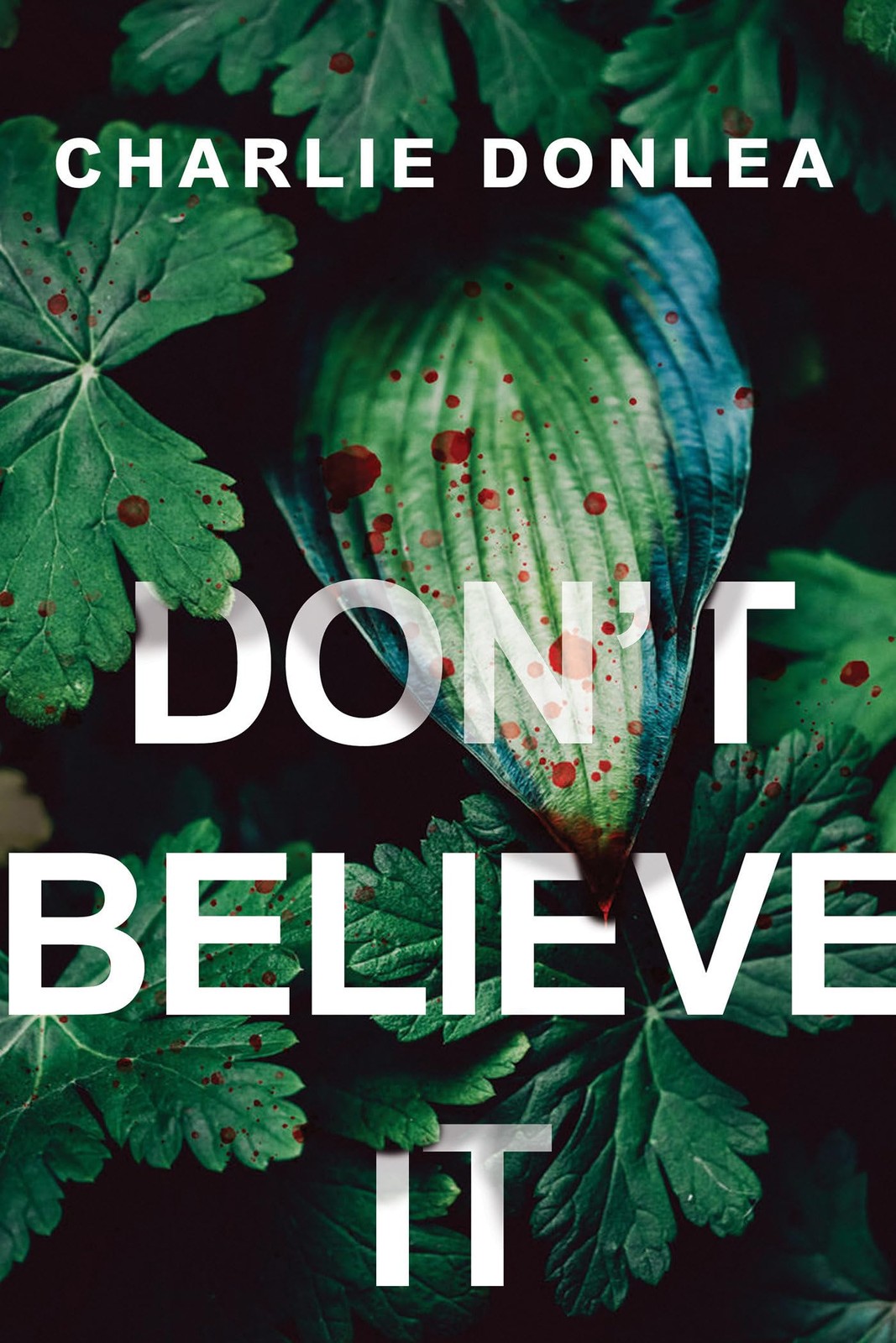 Don’t Believe It