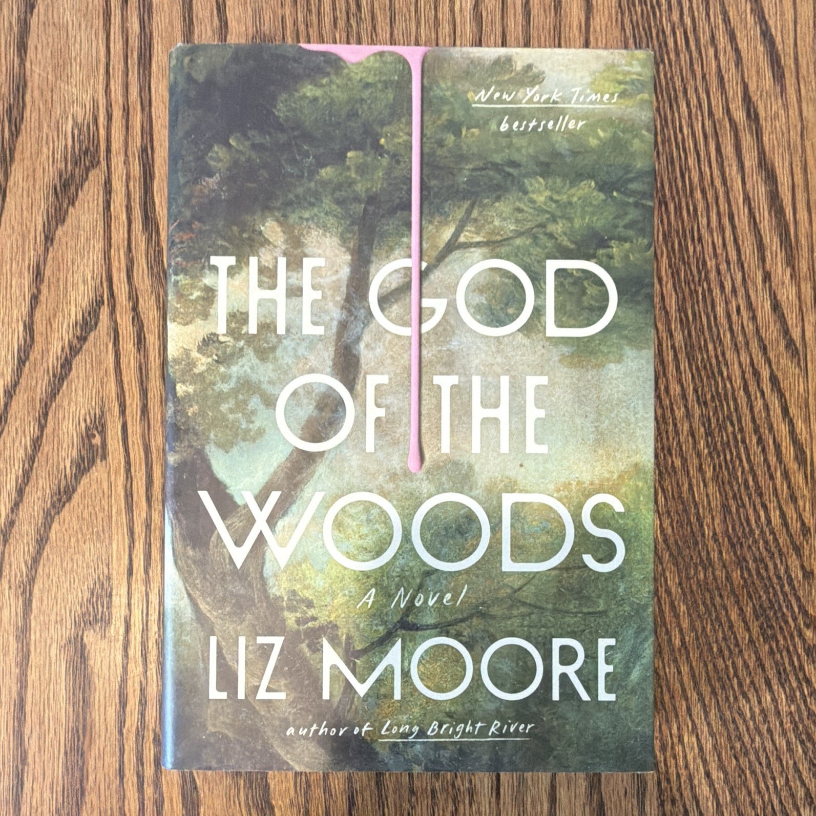 Liz Moore The God of the Woods Hardcover Novel w/ Dust Jacket