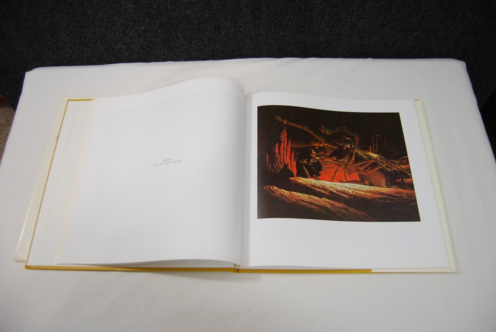 BOOK CLUB EDITION The Art Of The Brothers Hildebrandt 1979 HARDCOVER wDJ Tolkien