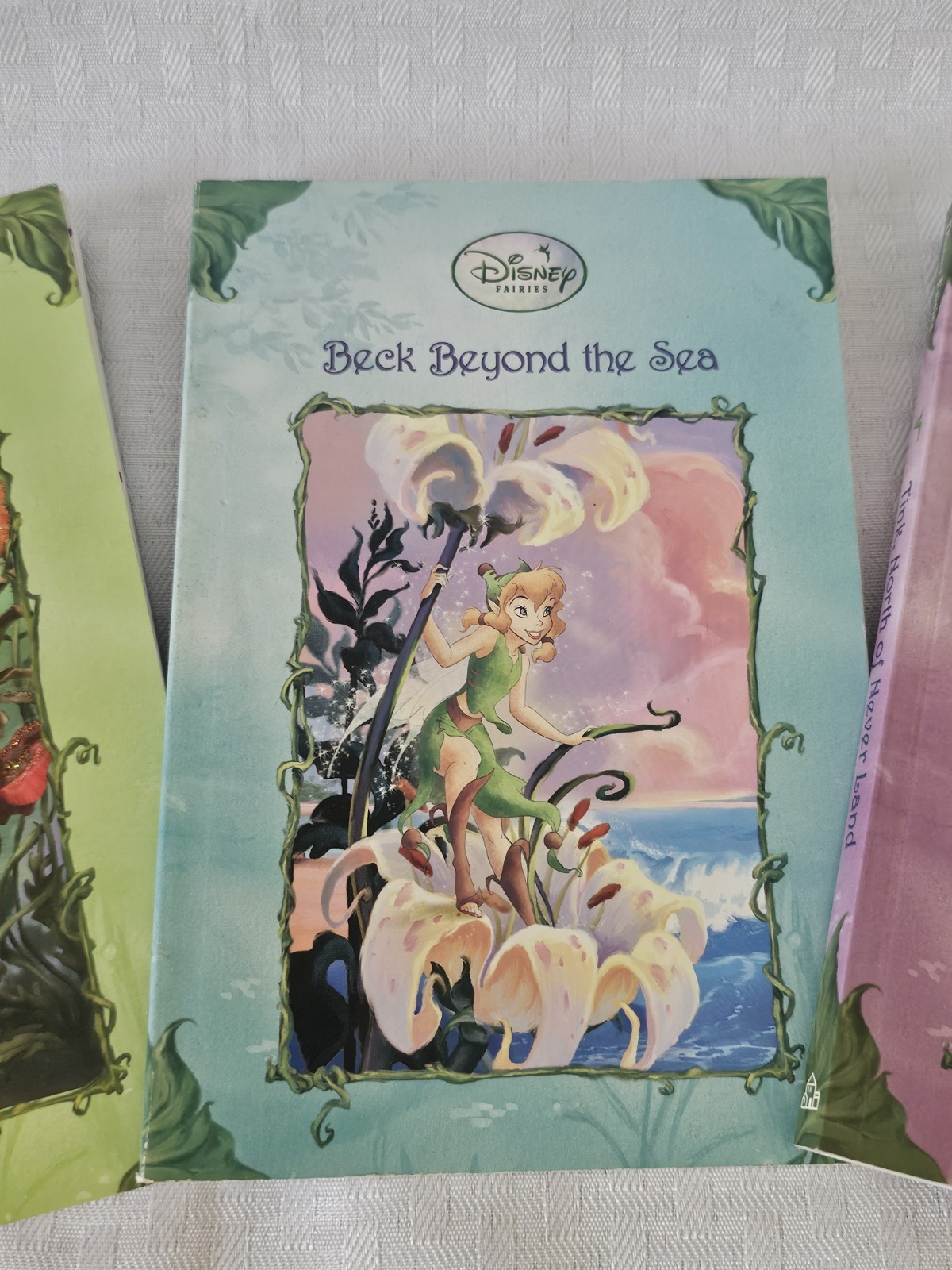 Lot Of 3 Disney Fairies Paperback Books – Very Good Condition