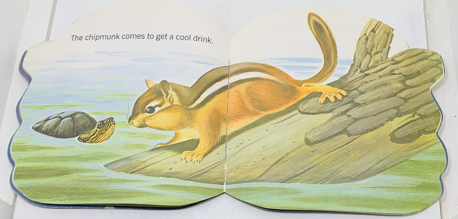 TURTLE & TIGER Shape Children’s Books Golden Press New York 1965 LOT of 2
