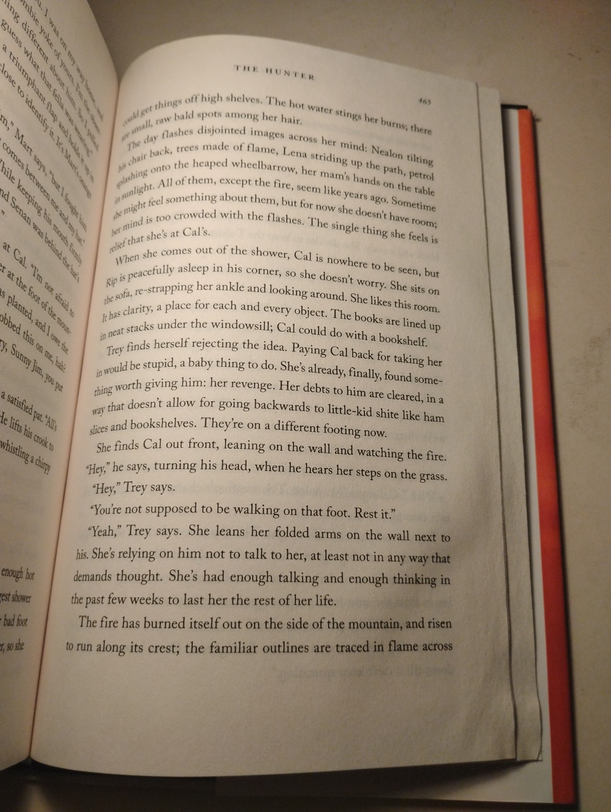 Signed Tana French THE HUNTER First Edition First Printing Hardcover DJ 2024