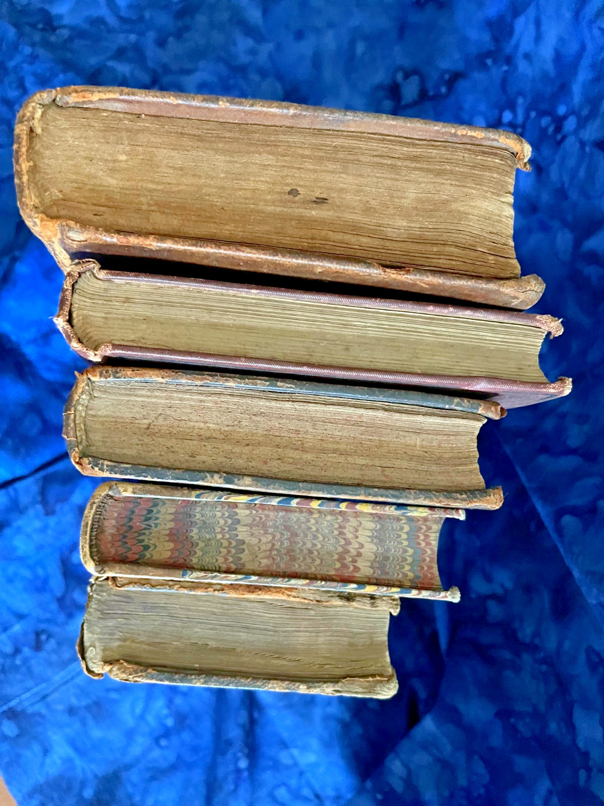 Tiny Antique Books; Miscellany, Plant World, Spectator, Columbian Orator #B46