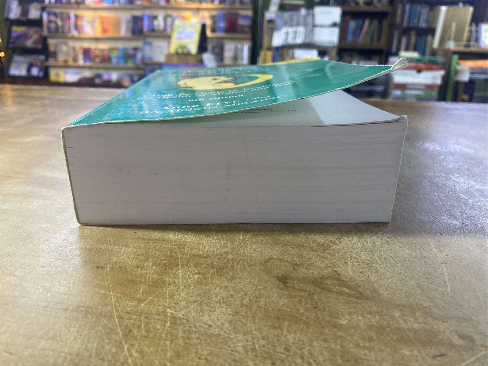 Understanding Diagnostic Tests In the Childbearing Year by Anne Frye Sixth Ed
