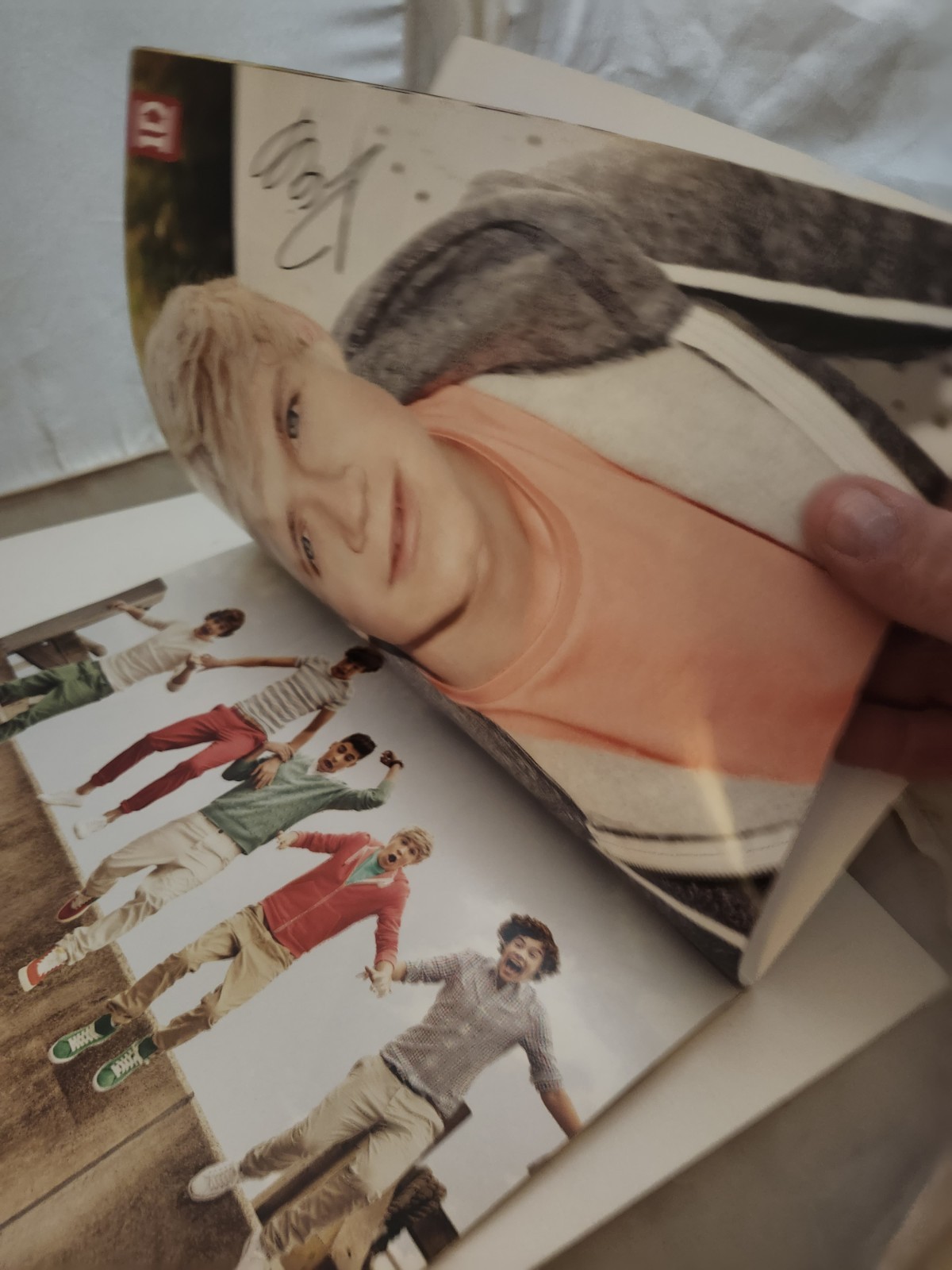 2012 ONE DIRECTION 1D Poster Collection Over 25 Pull Out Posters