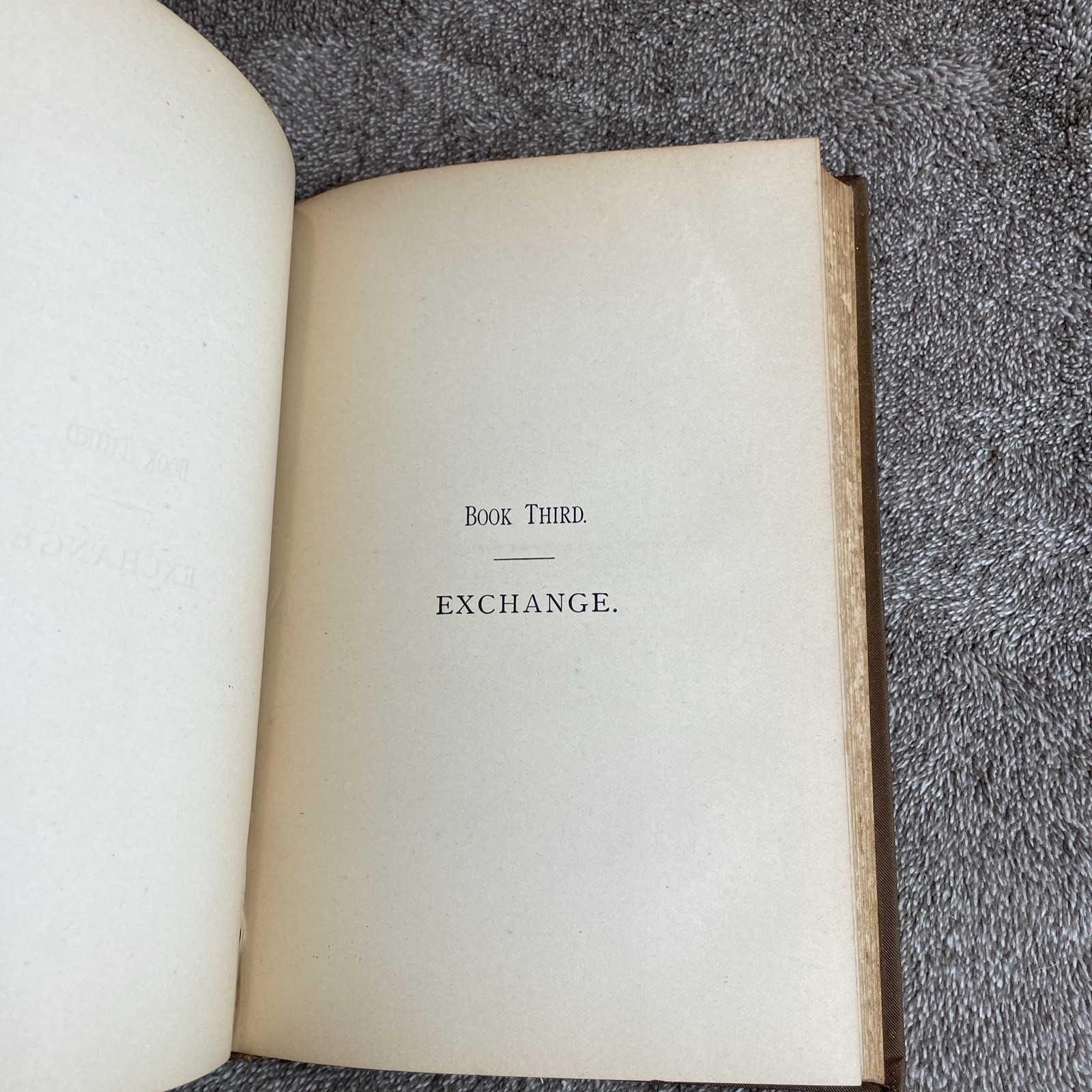Antique 1885 Outline Study of Political Economy by George Steele- First Edition
