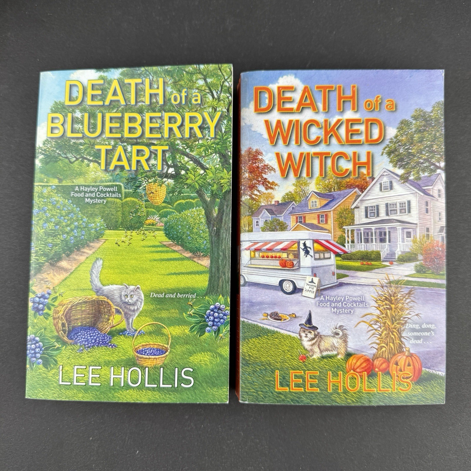 10 Lee Hollis Cozy Mystery Paperback Lot