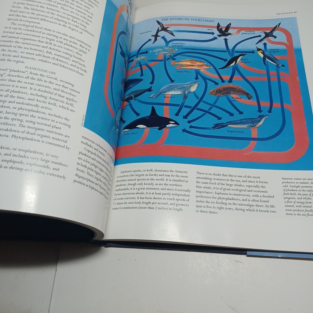 Polar Regions The Illustrated Library Of The Earth