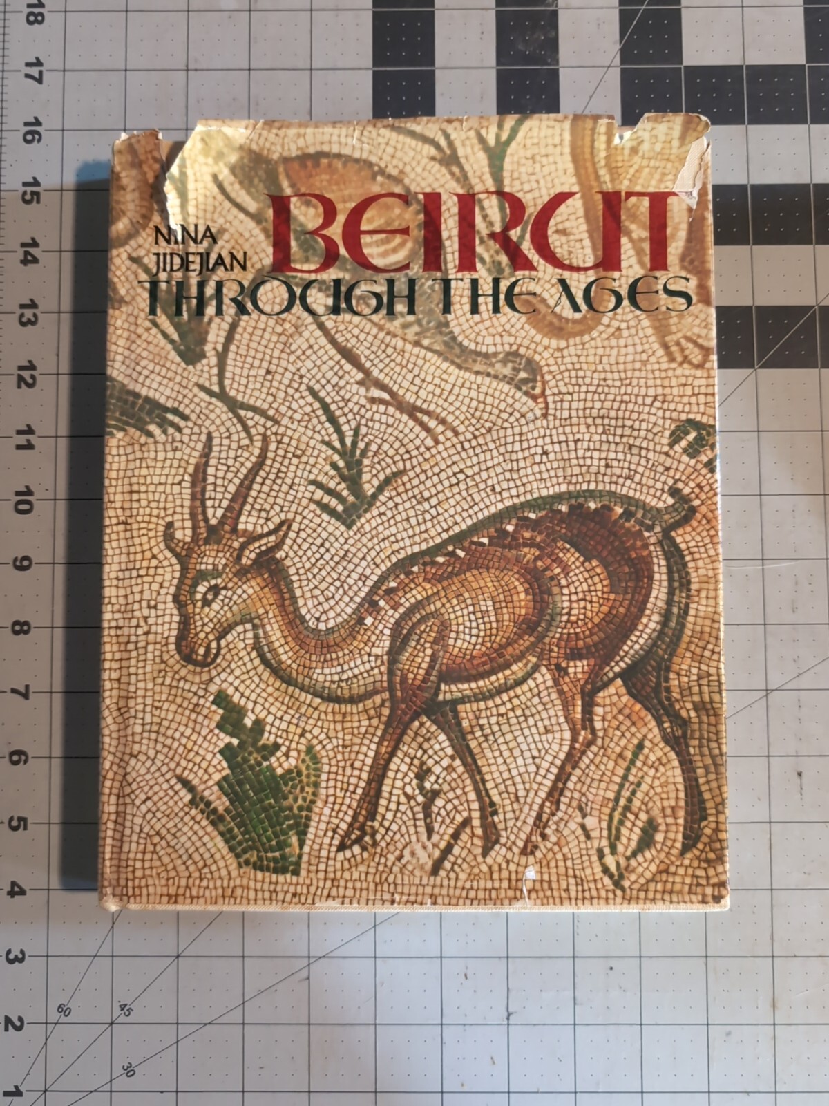 Beirut Through the Ages by Nina Jidejian (1973, Hardcover DJ) VGC 263 pages