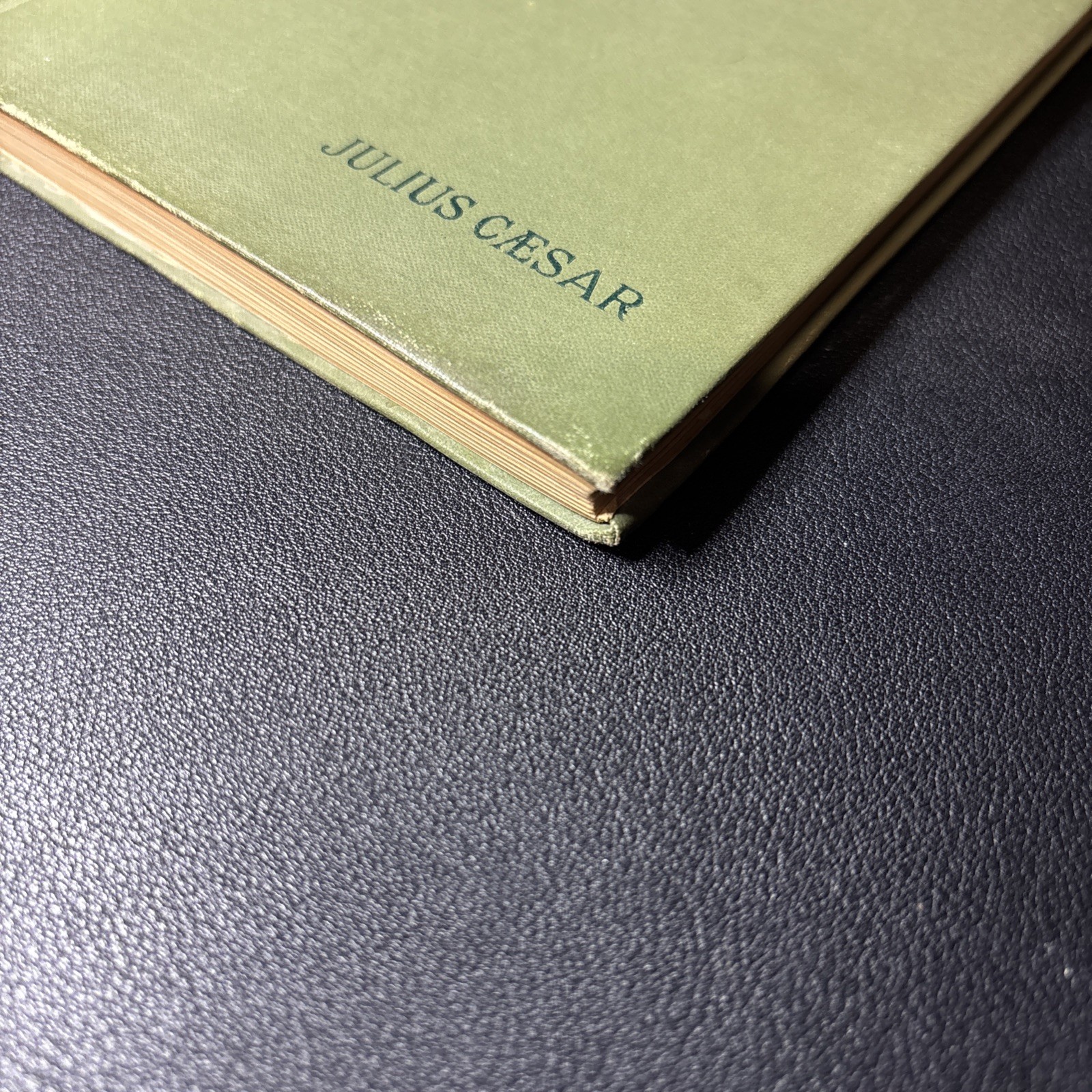 The Arden Shakespeare / The Tragedy of Julius Caesar / DC Heath & Co 1895