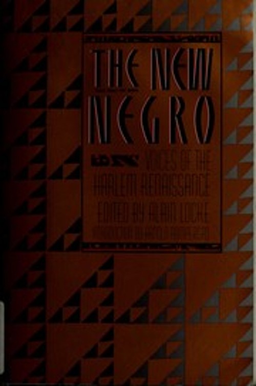 The New Negro : Voices of the Harlem Renaissance Paperback