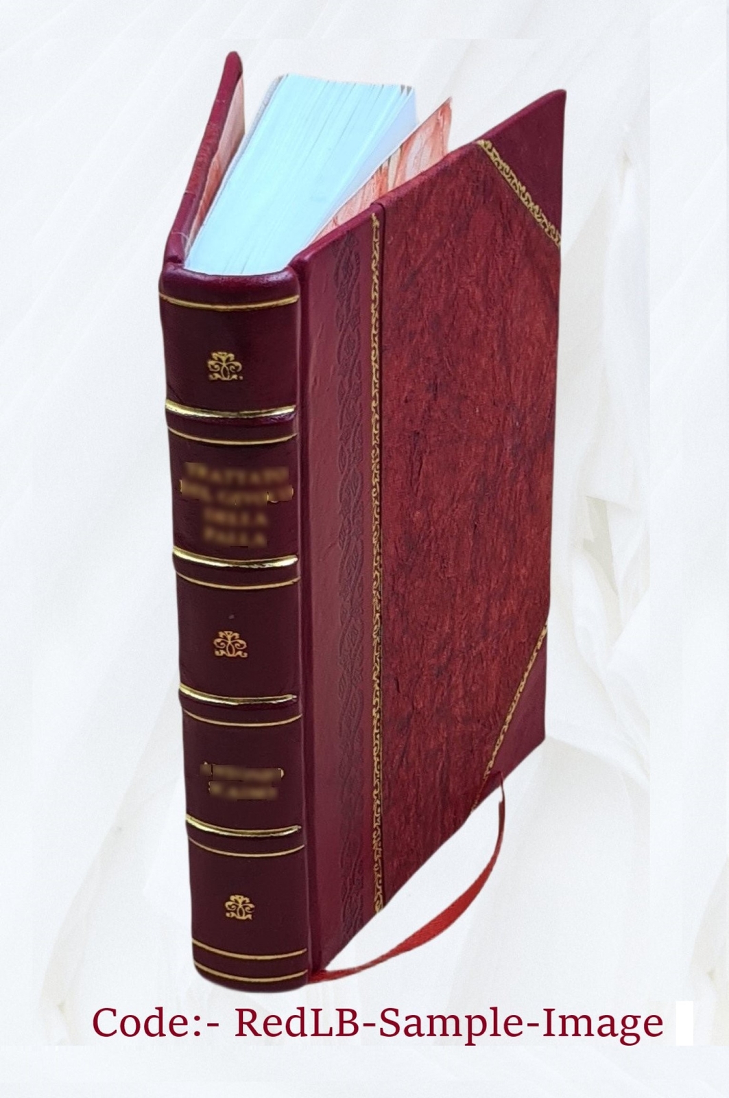 A New Industry Or Raising The Angora Goat, And Mohair, For Profi [Leather Bound]