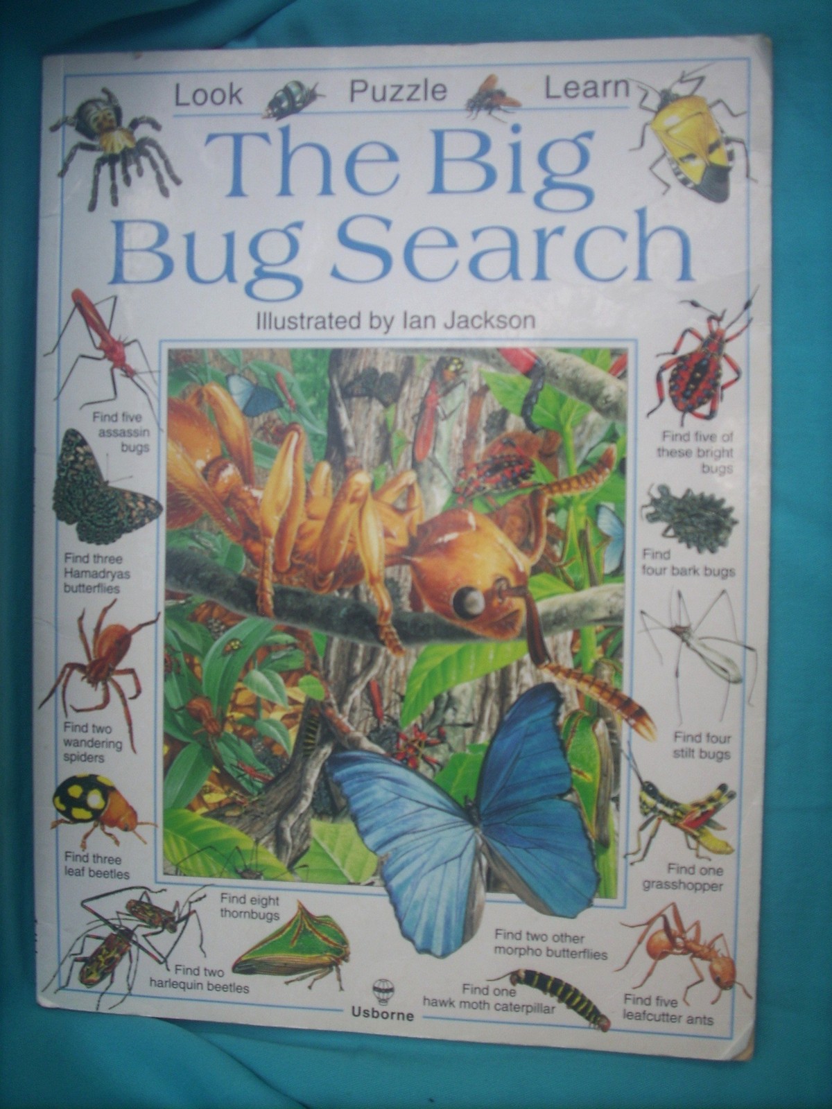 The Big Bug Search – Usborne Publishing Ltd. – Acceptable – See condition no…